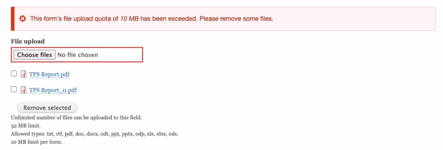 Web Form with Invalid File Upload