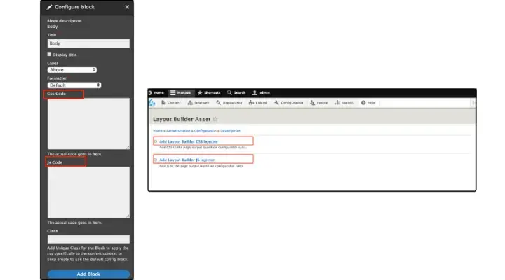 Layout Builder Asset Injector Drupal module
