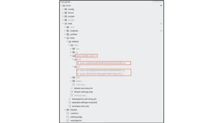 Layout Builder Asset Injector Drupal module