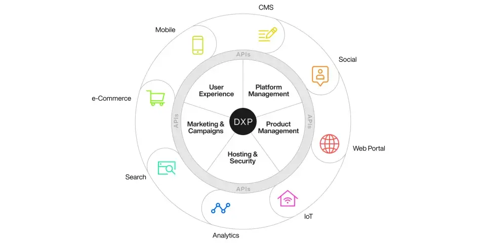 Digital Experience Platform 