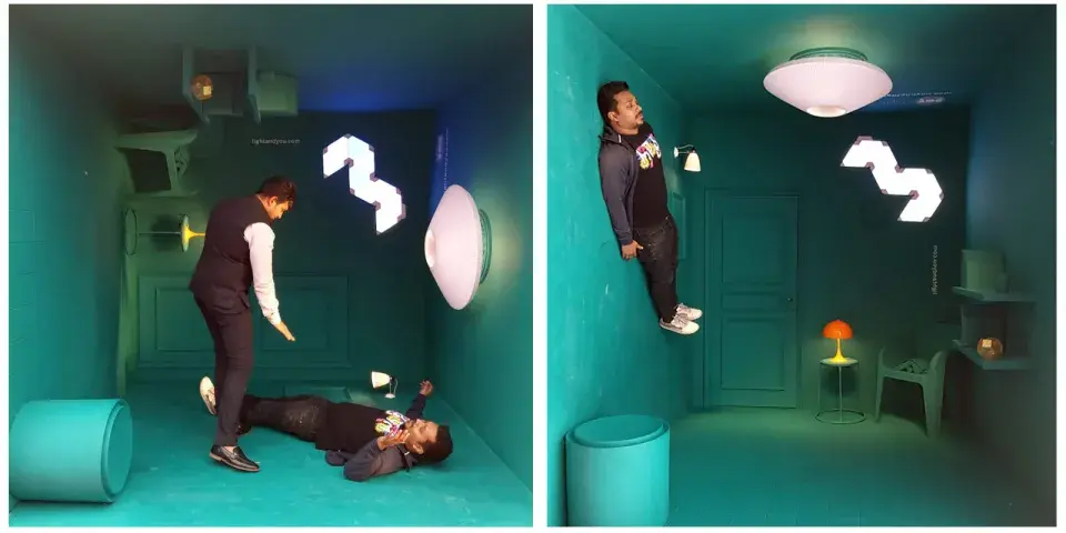 Light and You Exhibit